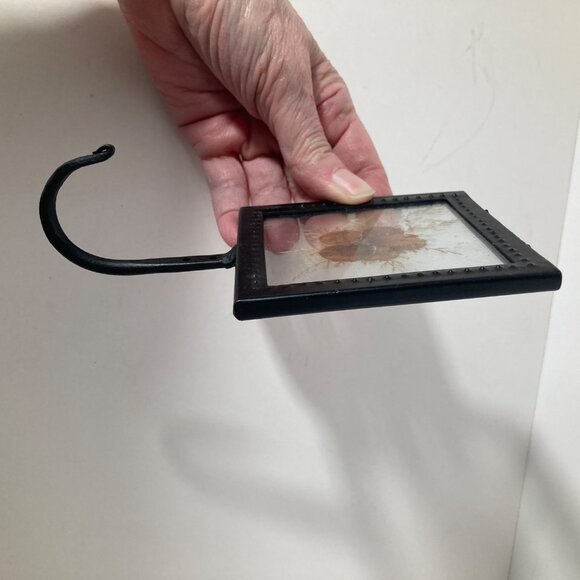 Vintage Wall Hook Pressed Flower in Glass Metal Frame 3.5 x 6" - Picture 4 of 6